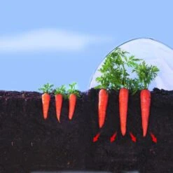 Kweekfolie / Tunnelfolie - 2 × 10 M 5 Kweekfolie / Tunnelfolie - 2 × 10 M -Tuinwinkel 1534088192 2 600