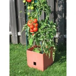 Plantentoren Maxitom Met Waterreservoir - Terracotta -Tuinwinkel 1677510667 3 600