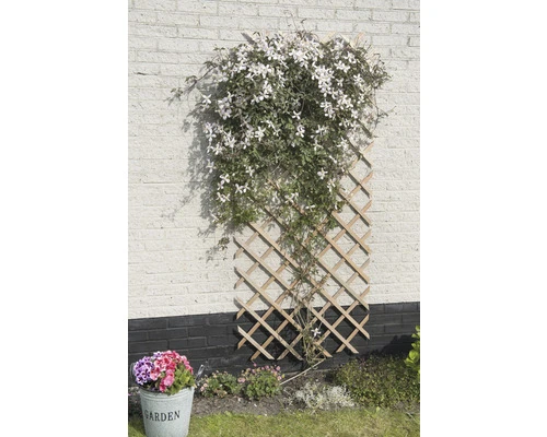 NATURE Klimrek Hout Naturel FSC 100x200 Cm 3 NATURE Klimrek Hout Naturel FSC 100x200 Cm - Afbeelding 3