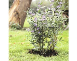 NATURE Plantensteun 100 X 45 X 24 Cm -Tuinwinkel DV 8 10610638 01 4c NL 20221021212842