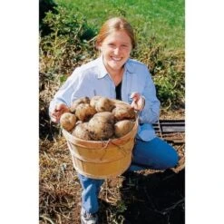 Groeibed Vierkant Kunststof - 97,5 × 97,5 × 25 Cm -Tuinwinkel groeibed 975 x 975 x 25 cm 1490036317 1 600