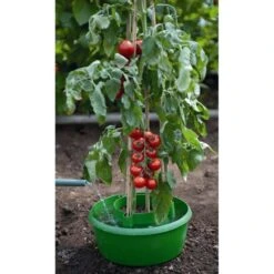 Plant- En Gietpot Groen - Set Van 3 Stuks -Tuinwinkel plant en gietpot 1484054799 4 600
