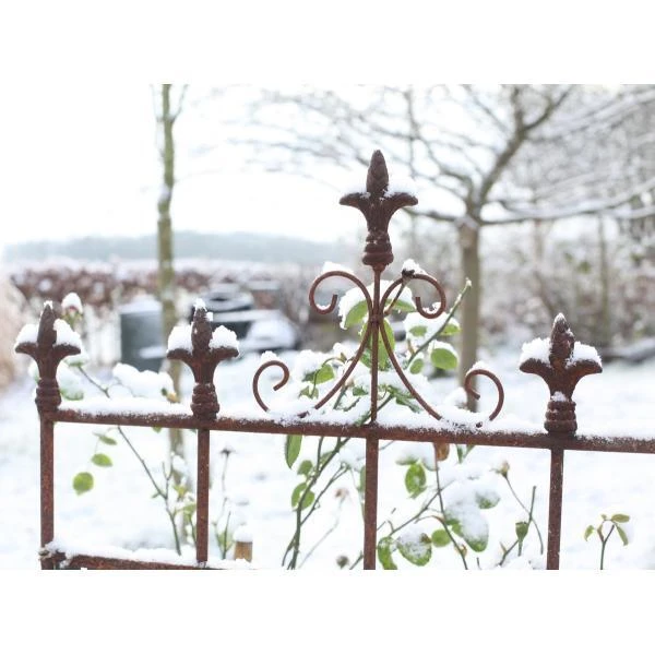 ESSCHERT DESIGN Plantensteun Franse Lelie - Roestiek 2 ESSCHERT DESIGN Plantensteun Franse Lelie - Roestiek - Afbeelding 2