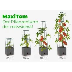 Plantentoren Maxitom Met Waterreservoir - Antraciet -Tuinwinkel plantentoren maxitom antraciet 1677571236 4 600