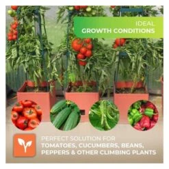 Plantentoren Maxitom Met Waterreservoir - Terracotta -Tuinwinkel plantentoren maxitom terracotta 1677568602 1 600