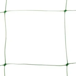 Klimgaas Erwten En Bonen 2m × 10 M 5 Klimgaas Erwten En Bonen 2m × 10 M -Tuinwinkel steungaas klimgaas 2 x 10 meter 1484065488 1 600