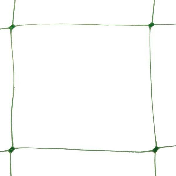 Klimgaas Erwten En Bonen 2m × 10 M 3 Klimgaas Erwten En Bonen 2m × 10 M - Afbeelding 3