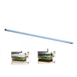 Uitgelichte producten 10 TL Lamp - 55 Cm Groeilicht - 24 Watt - Set Van 1 Stuks