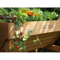 Vegtrug Verhoogde Kweektafel - 1 × 0,8 × 0,8 M -Tuinwinkel vegtrug 1 m 1484054491 4 600